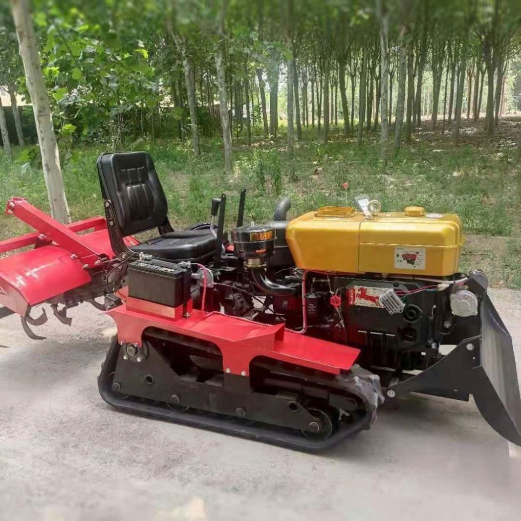Rijd-op-rotorkopeg, tuinminitr - Garden Tiller Mini recensie en prijs