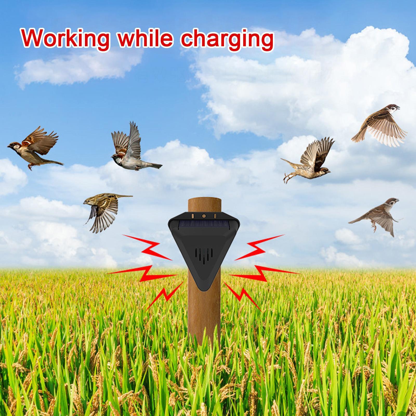 Solar Timer Vogelafschrikker M - Outdoor Power Hours recensie en prijs