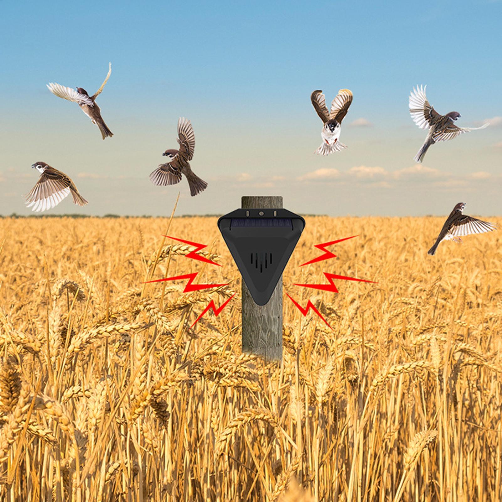 Solar Timer Vogelafschrikker M - Outdoor Power Hours recensie en prijs