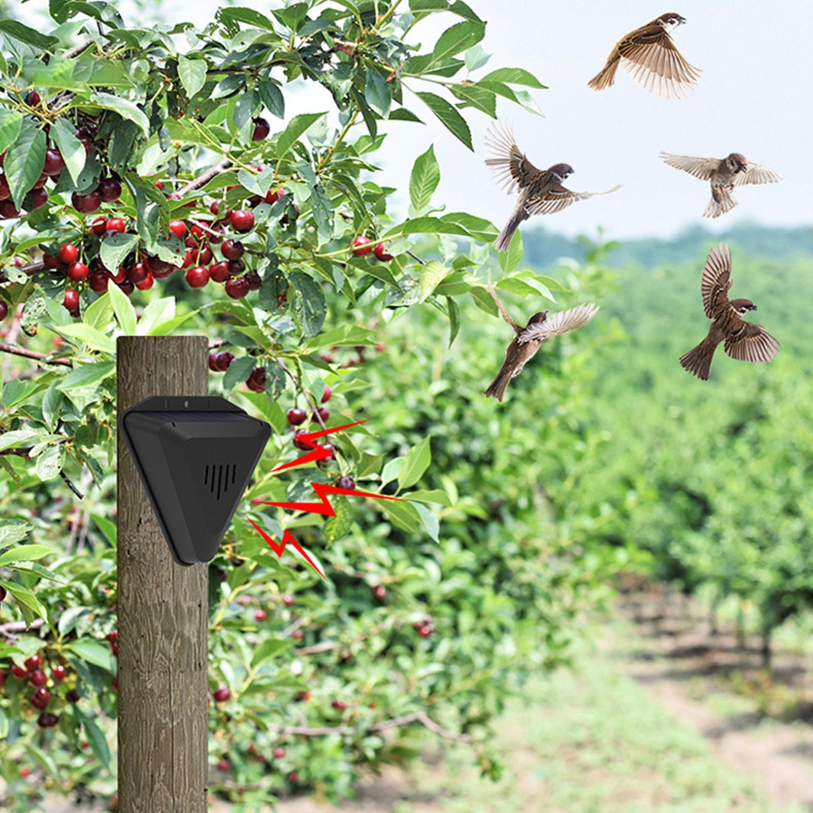 Solar Timer Vogelafschrikker M - Outdoor Power Hours recensie en prijs